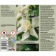 Αρωματικό Αυτοκινήτου Spray Feral Natural Collection Gardenia 1 Τεμάχιο - 19317 47160